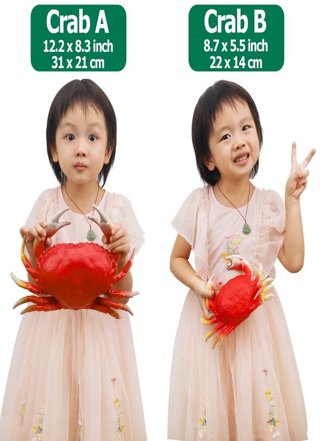 جريسورث مجموعة غريسورث المكونة من 4 قطع من مخلوقات الحياة البحرية الكبيرة الاصطناعية، جراد البحر وسرطان البحر، حيوانات بلاستيكية، ديكور منزلي، عرض للحفلات، لعبة للأطفال - Image 3